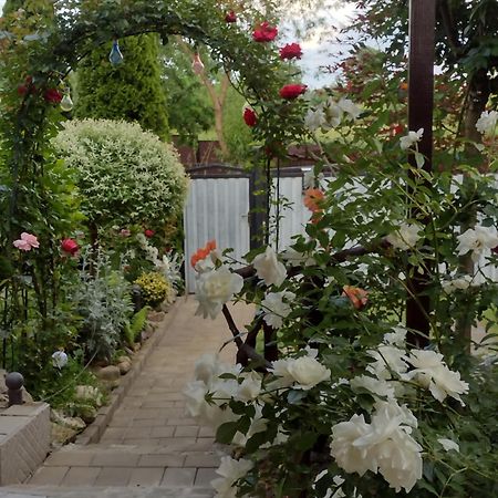 Casa Mamei Сучава Екстер'єр фото