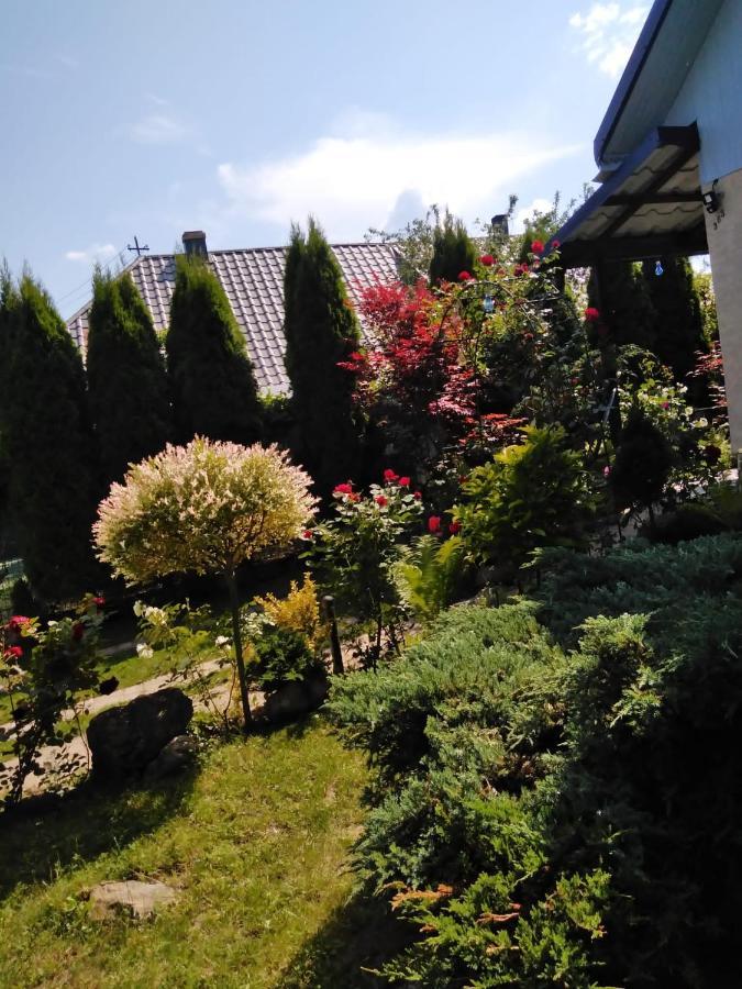 Casa Mamei Сучава Екстер'єр фото
