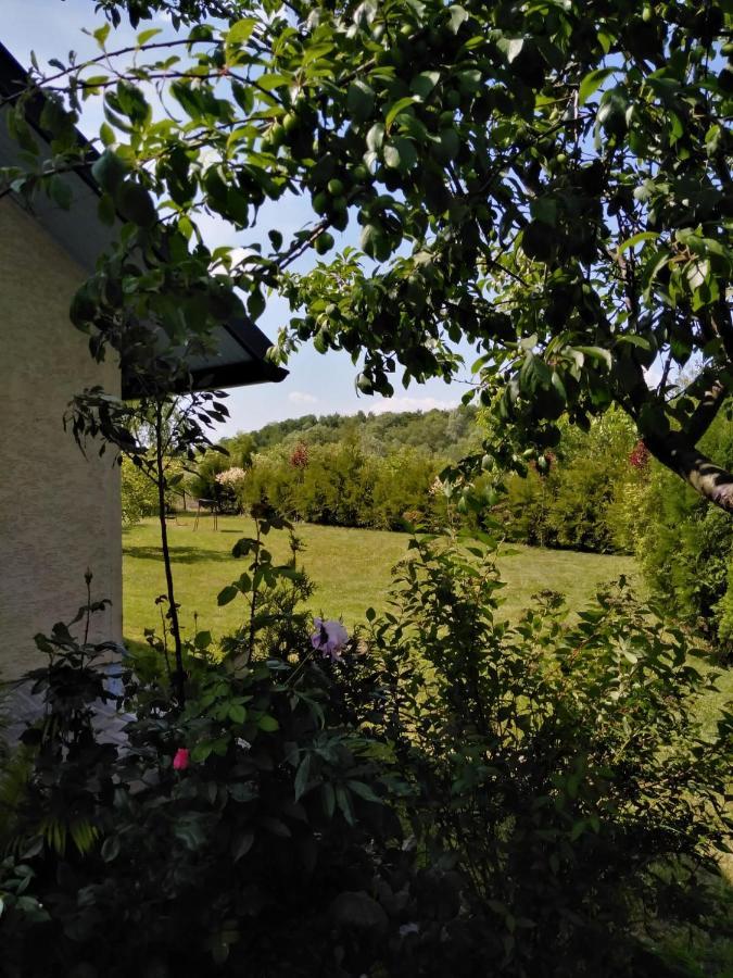 Casa Mamei Сучава Екстер'єр фото