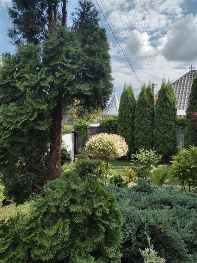 Casa Mamei Сучава Екстер'єр фото