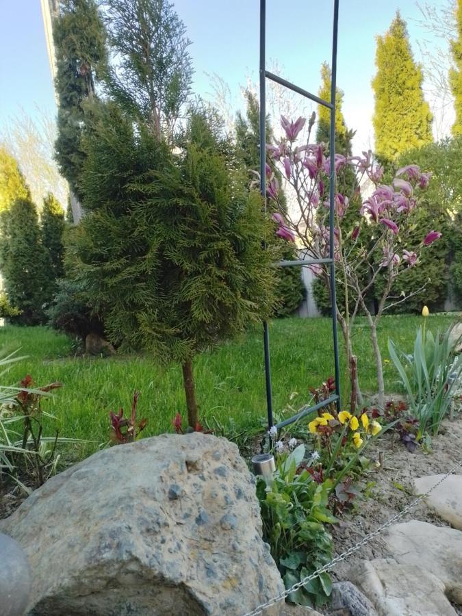 Casa Mamei Сучава Екстер'єр фото